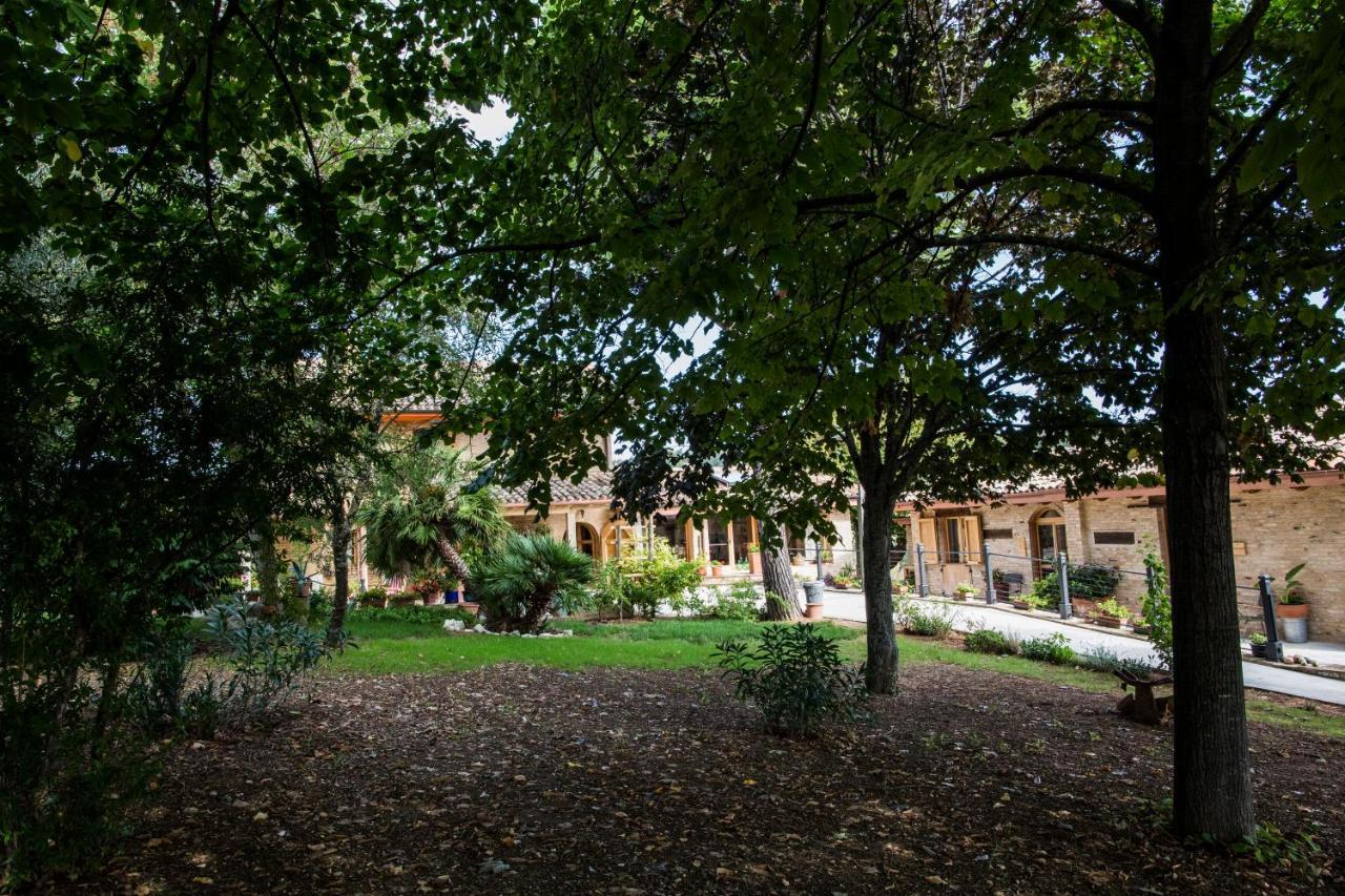 B&B Il Cavallino Civitanova Alta Exterior foto